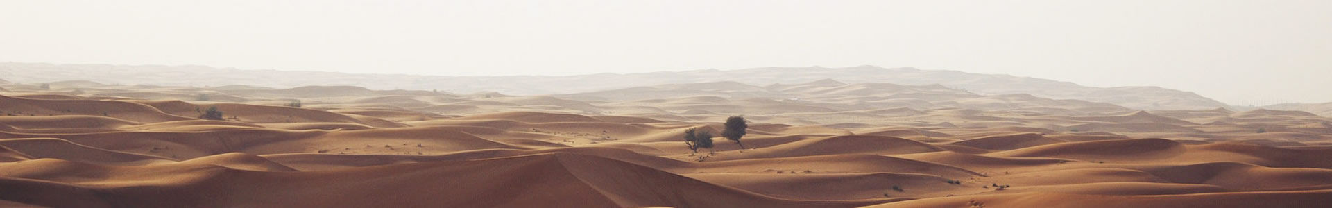 ɳ-Ƽ޹˾